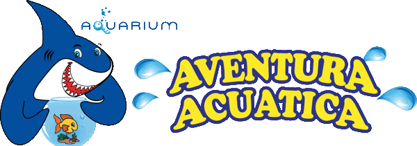 aventura acuatica
